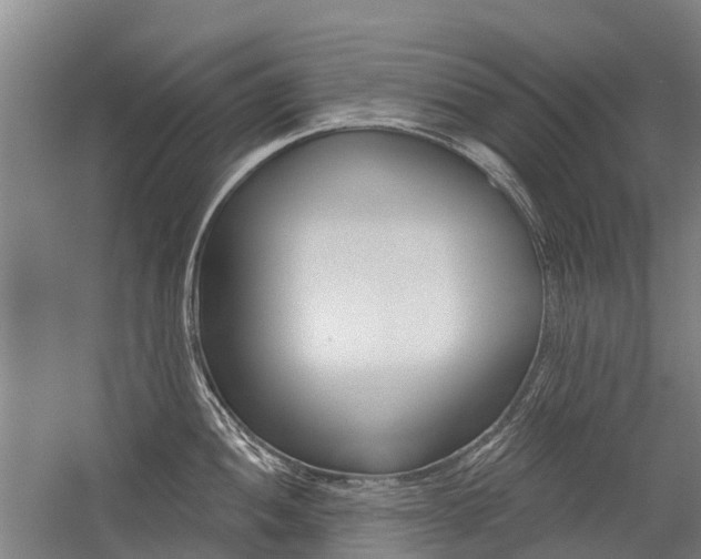 X0000059081052200510070925
