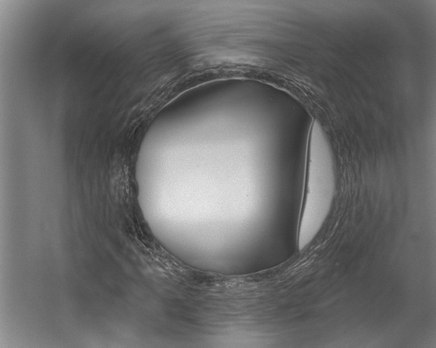 X0000059081061200510070924