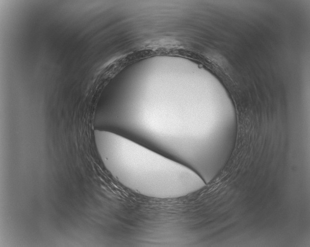 X0000059081063200510070924
