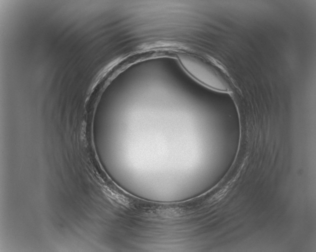 X0000059081066200510070924