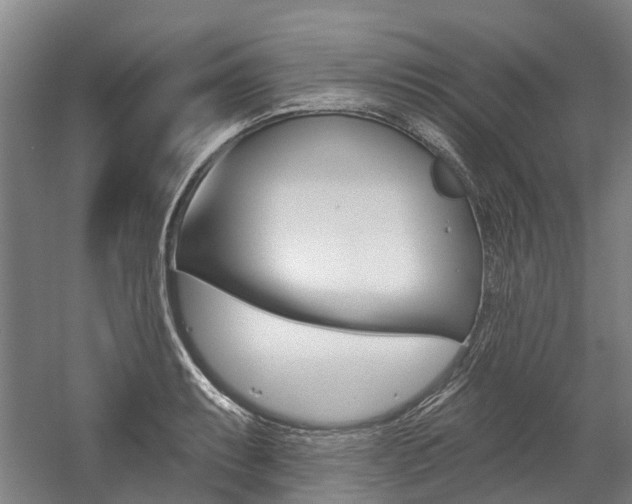 X0000059081087200510070923