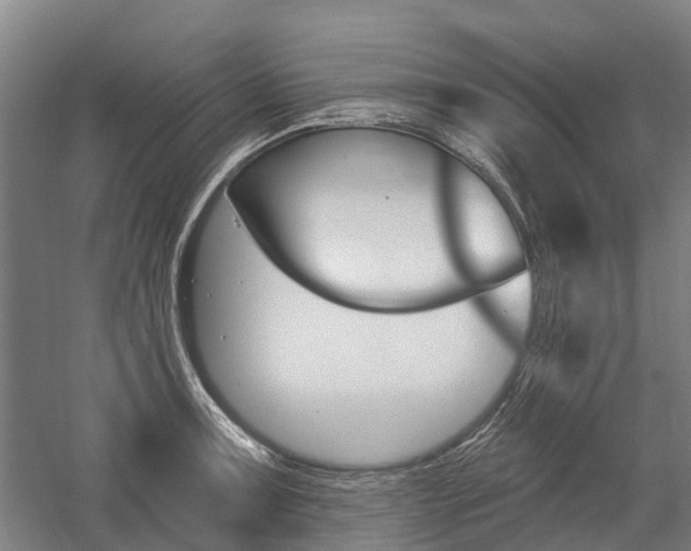 X0000059081091200510070923