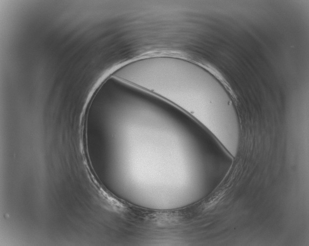 X0000059081102200510070923