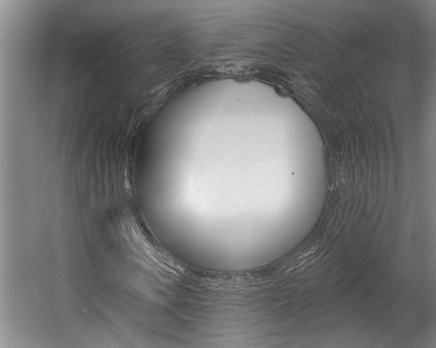 X0000059081106200510070922