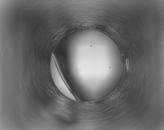 X0000059081107200510070922