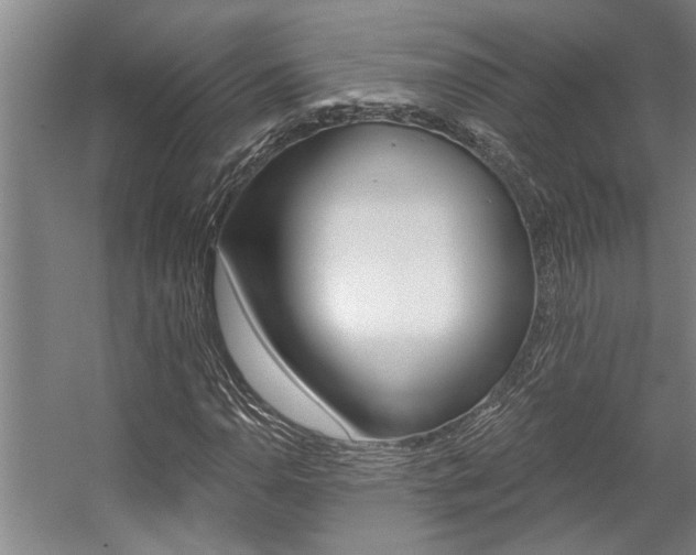 X0000059081110200510070922