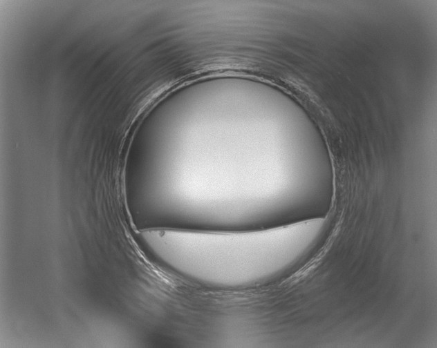 X0000059081121200510070923