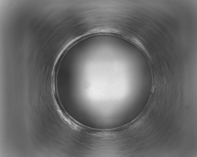 X0000059081132200510070923