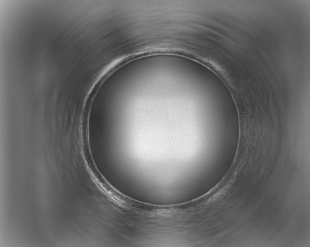 X0000059081134200510070923