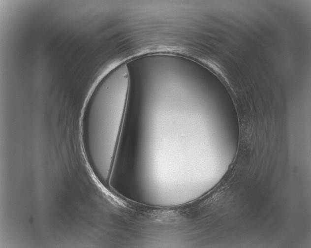 X0000059081135200510070923