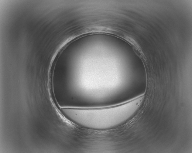 X0000059081136200510070923