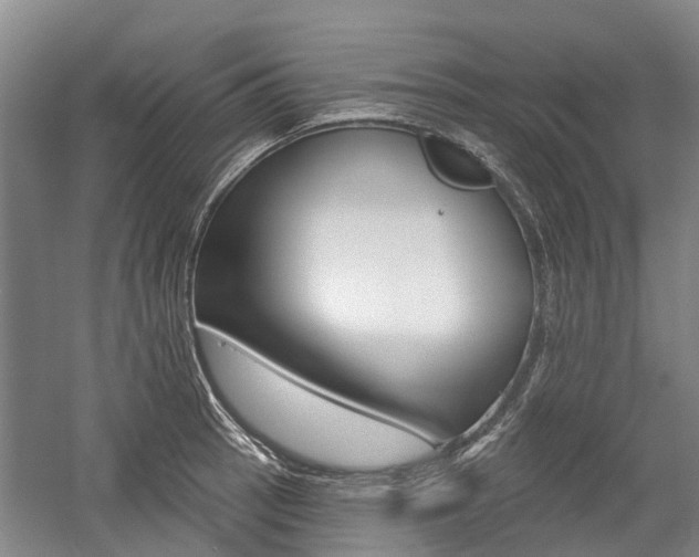 X0000059081137200510070923