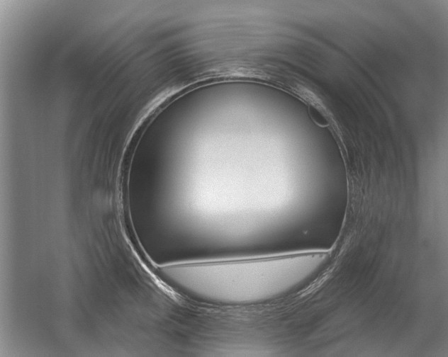 X0000059081141200510070923