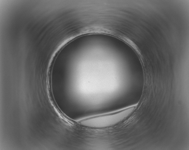 X0000059081144200510070923