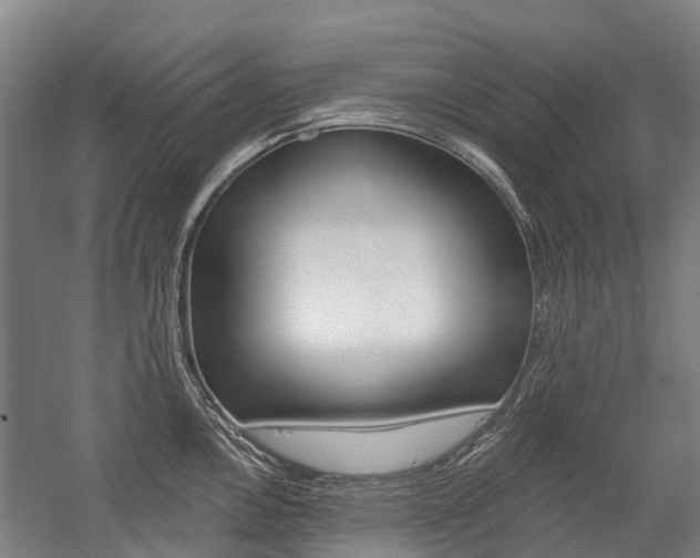 X0000059081146200510070923