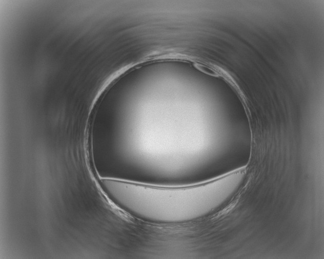 X0000059081149200510070923