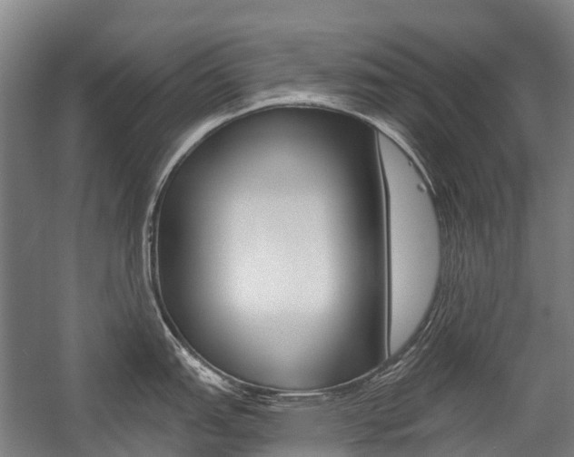 X0000059081151200510070923