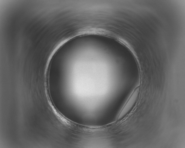 X0000059081152200510070923