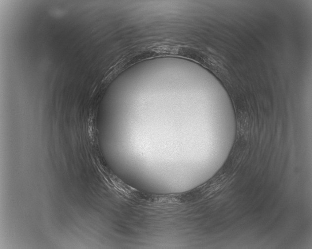X0000059081154200510070922