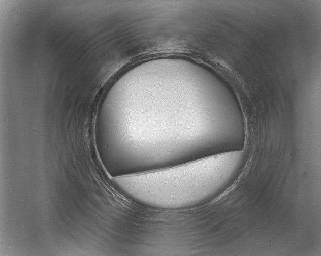 X0000059081162200510070922