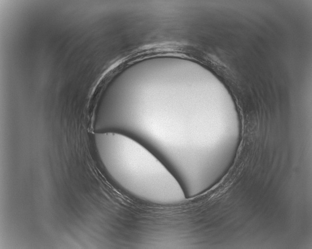 X0000059081166200510070922
