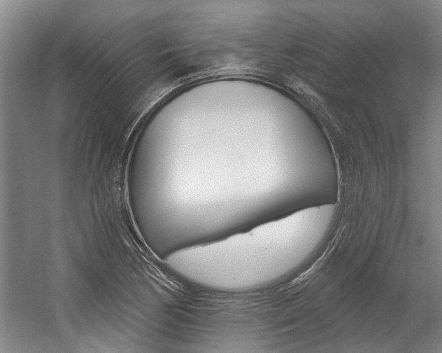 X0000059081170200510070922
