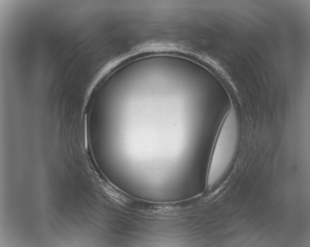 X0000059081175200510070922