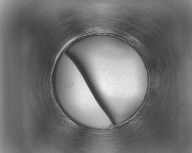 X0000059081182200510070922