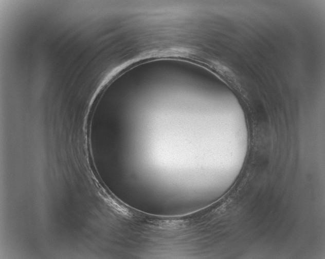 X0000059081184200510070922