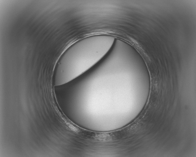 X0000059081186200510070922
