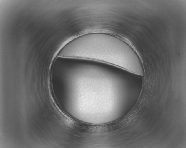 X0000059081187200510070922