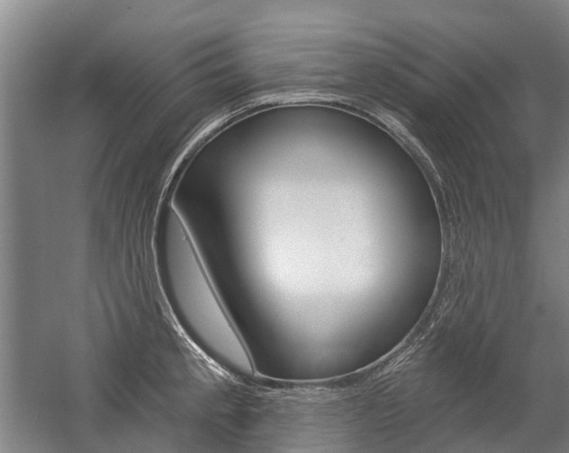 X0000059081189200510070922