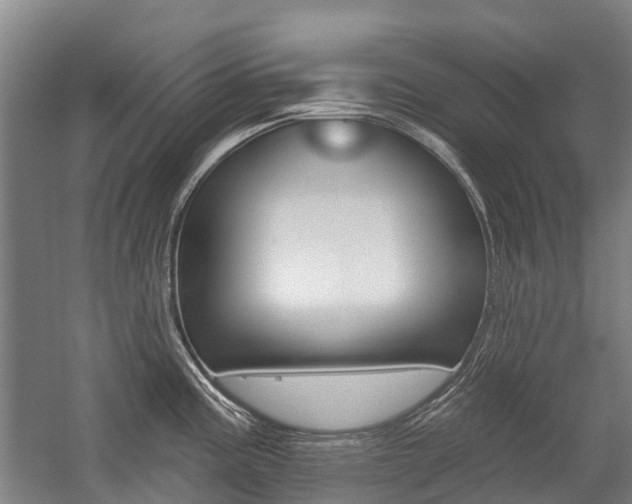 X0000059081195200510070922