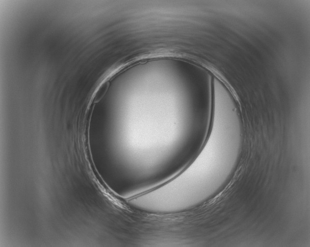 X0000059081197200510070922
