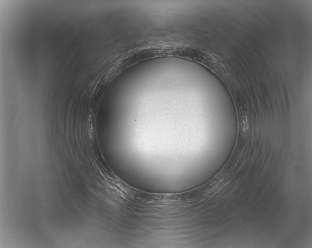 X0000059081204200510070921