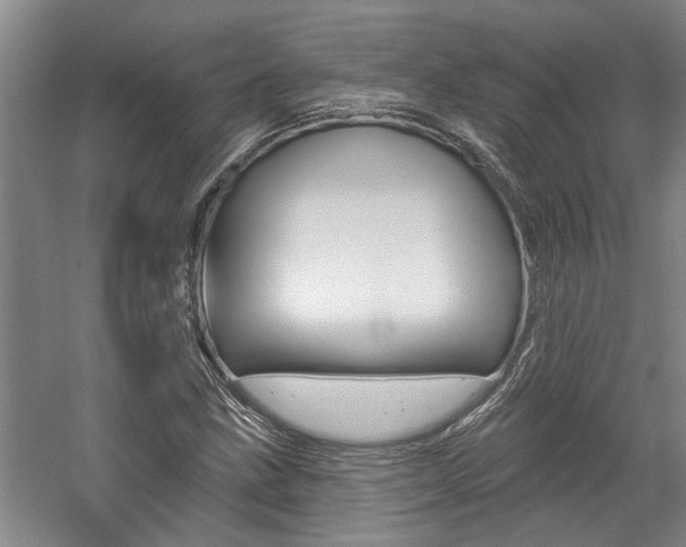 X0000059081211200510070921