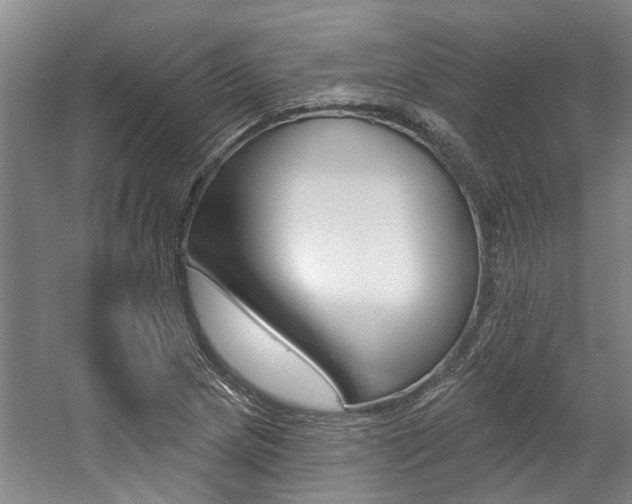 X0000059081217200510070921