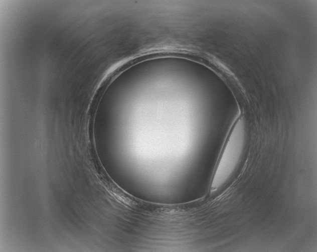 X0000059081222200510070921