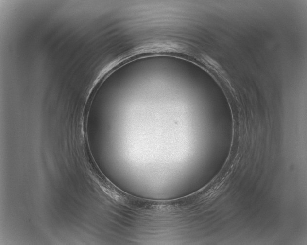 X0000059081226200510070921