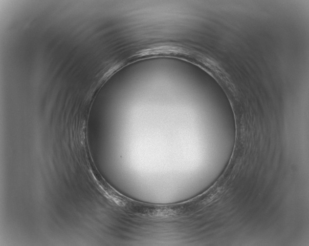 X0000059081233200510070921