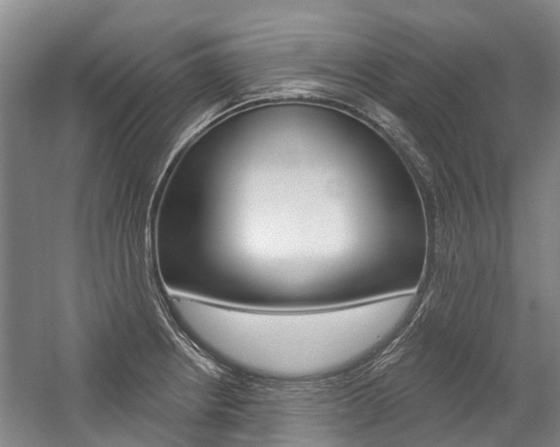 X0000059081234200510070921