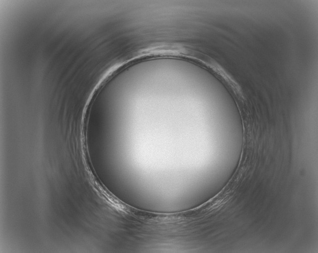 X0000059081240200510070921