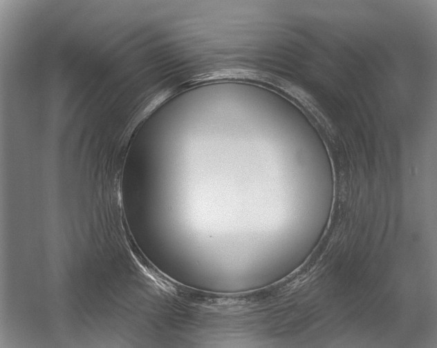 X0000059081241200510070921