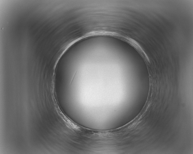 X0000059081244200510070921