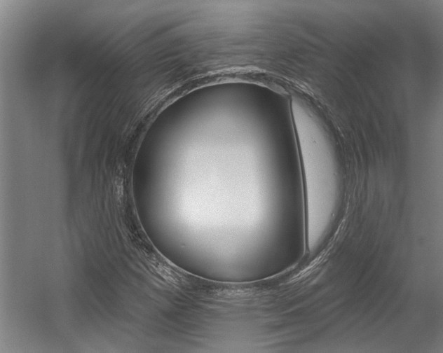 X0000059081257200510070921
