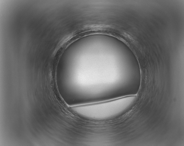 X0000059081261200510070921