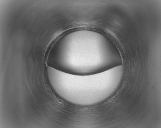 X0000059081267200510070920
