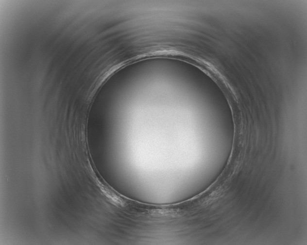 X0000059081281200510070920