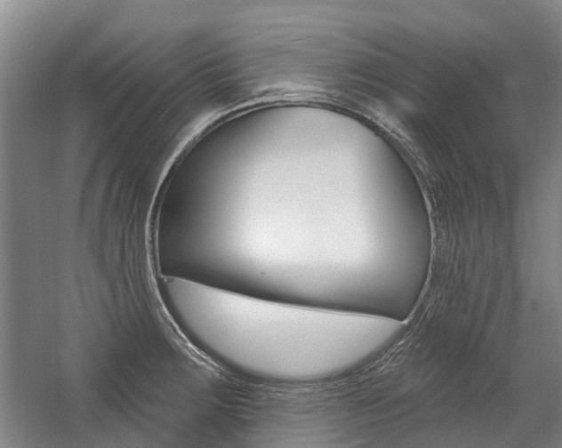 X0000059081283200510070920