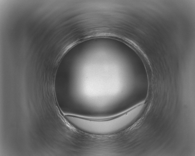 X0000059081289200510070920